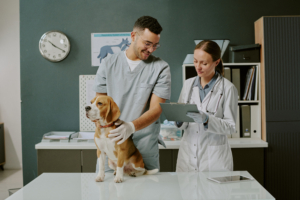 Radioprotection vétérinaire : CRP et Externalisation de la radioprotection cabinet ou clinique vétérinaire à Lyon
